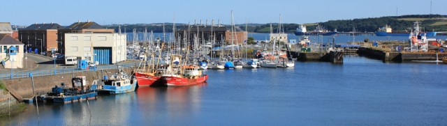 Marina, Milford Haven, Ruth Livingstone in Pembrokeshire
