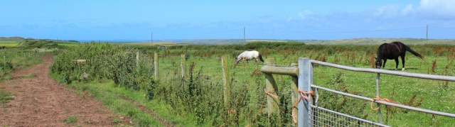  muddy farm track, Ruth walking the Pembrokeshire Coast Path towards Freshwater West