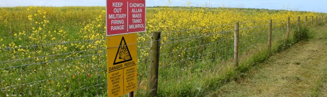  fields of wild flowers, Ruth hiking in Pembrokeshire