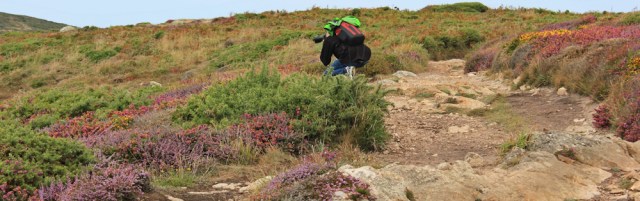 photographer and colourful heather, Ruth Livingstone