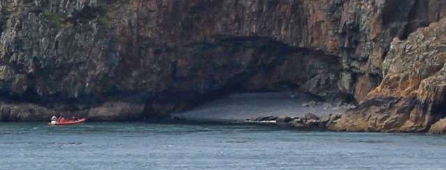 seal spotting, Ramsey Island, Ruth Livingstone