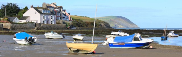 01 Newport and Dinas Head, Ruth's coastal walk, Pembrokeshire