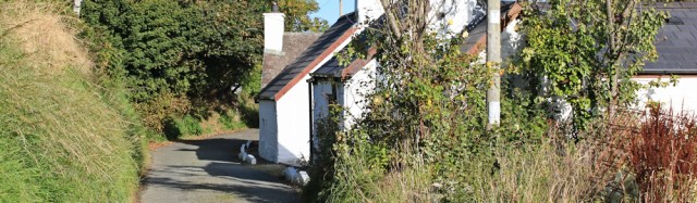 01 road from Molygrove, Ruth's coastal walk