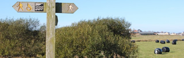 03 meandering footpath across fields, Ruth hiking near Borth, Wales
