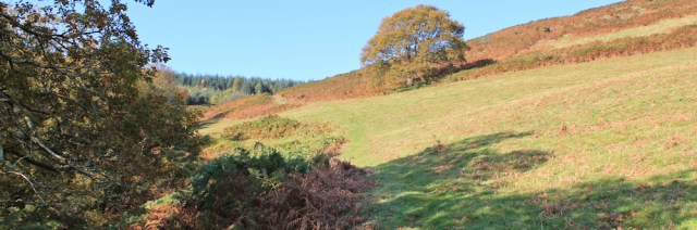 04 still uphill towards Foel Goch, Ruth on the Wales Coast Path near Machynlleth