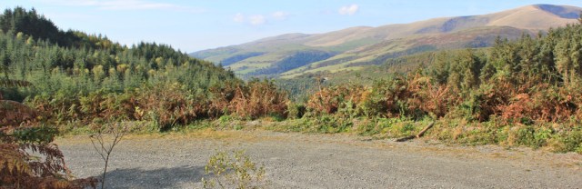 07 logging road, Ruth on the Wales Coast Path, Foel Goch
