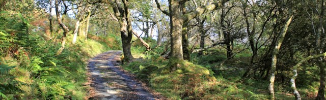endless uphill, Ruth walking from Borth to Machynlleth