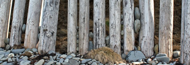 11 rocks wedged in sea defences, Ruth hiking the Wales coast