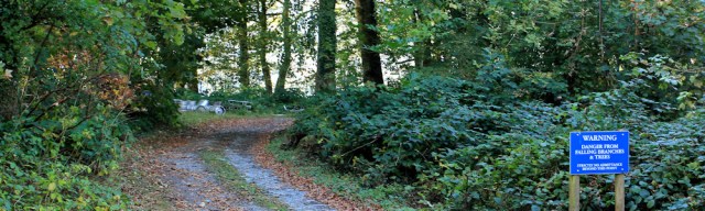 12 closed woodland, Ruth trekking in Wales