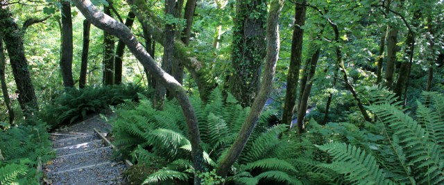 12 Down into Penbryn, Ruth hiking the Ceredigion Coast Path, Wales
