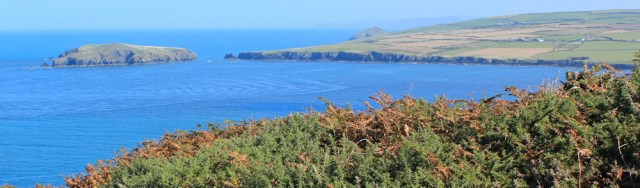 13 Cardigan Island, Ruth Livingstone in Pembrokeshire
