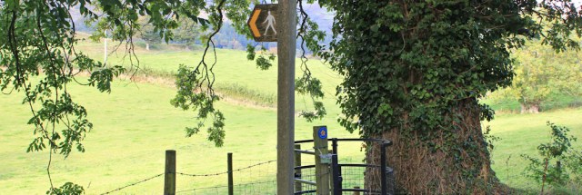 15 finding the right path again, Ruth Livingstone in Wales