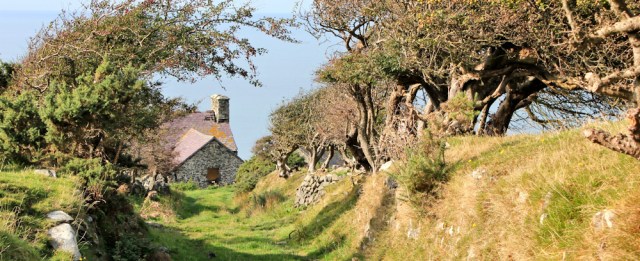 15 sunken lane and derelict farm, Ruth Livingstone