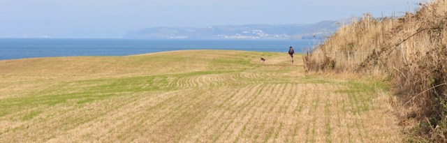 17 dog walker, Ruth hiking the Ceredigion coast trail