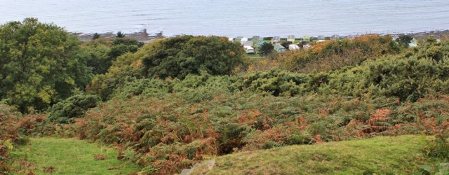 17 inland detour around caravan park, Ruth trekking to Aberyswith