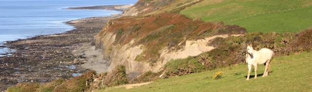20 horses on the Ceredigion Path, Ruth in Wales