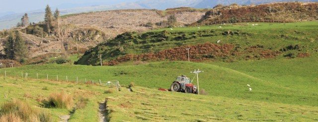 20 timber felling and grass cutting on Snowdonia, Ruth in Wales
