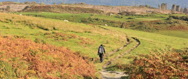 21 fellow walker on Tyddynbriddell Hill, Ruth on the Wales Coast Path