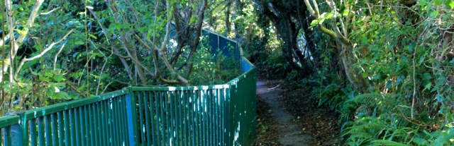 24 secret path into Cardigan