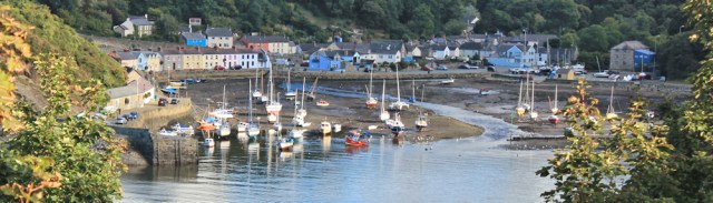 Lower Town, Fishguard, Ruth Livingstone