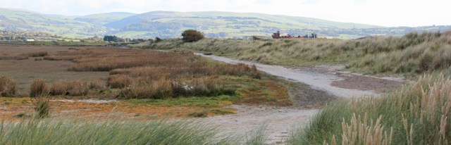 Ynyslas nature reserve, Ruth walkin up the Afon Dyfi estuary