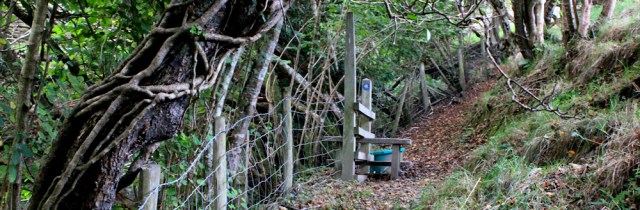 28 getting lost in Allt Goch, Ruth walking down to Aberdyfi