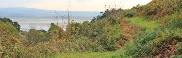 29 walking down valley to Aberdyfi, Ruth in Wales