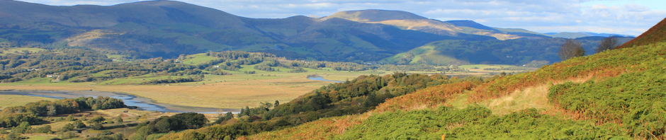 towards Machynlleth, Ruth Livingstone