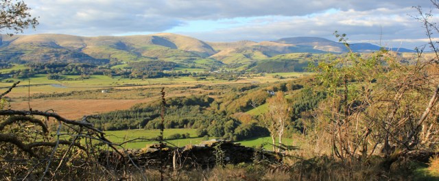  towards Pennal, Ruth walking to Machynlleth