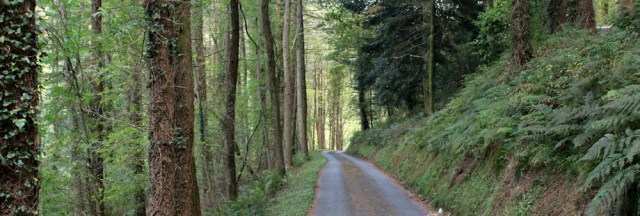 getting dark, Ruth hiking in Wales