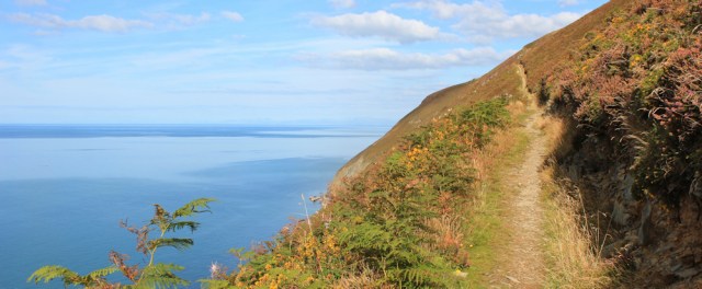 Still climbing, Ruth Livingstone