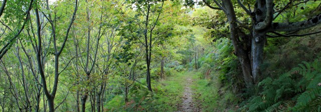 b16 down into Cwmtydu, Ruth's coastal walk in Wales