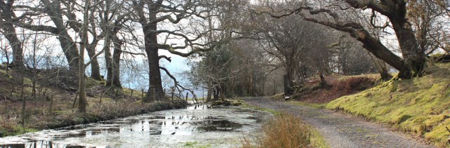 06 to Portmeirion, Ruth walking the Wales Coast Path