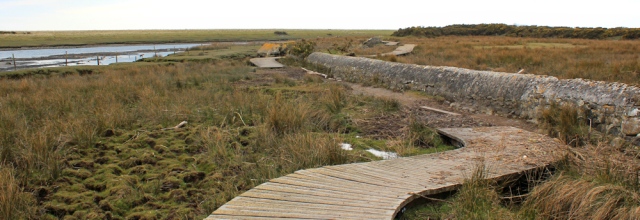 09 path winds through marsh, Ruth on the Wales Coast Path, Lleyn Peninsula