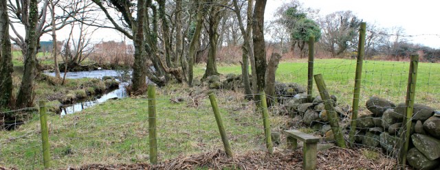 footpath peters out, Ruth trying to walk the Wales Coast Path