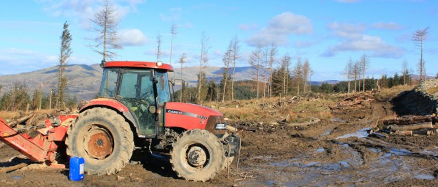 13 logging, Snowdonia, Ruth on the Wales Coastal Path