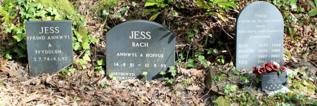 14 doggy graves, Portmeirion, Ruth's coastal walk