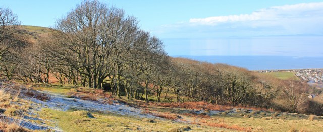15 Wales Coast Path, going downhill towards Fairbourne