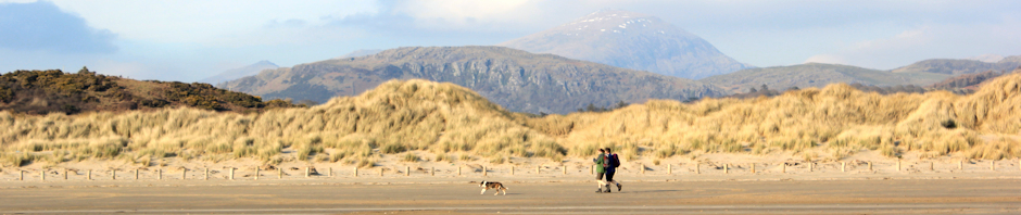 header, Black Rock Sands, Ruth Livingstone