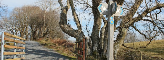 well sign-posted, Ruth hiking the Wales Coast Path