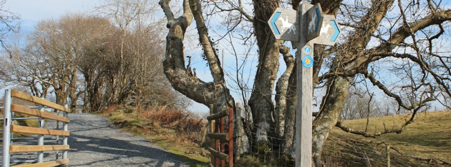 well sign-posted, Ruth hiking the Wales Coast Path