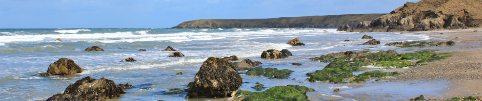 Header, Llyn peninsula, Ruth Livingstone