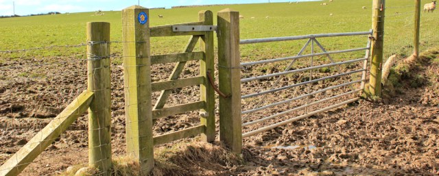 03 mud on the Wales Coast Path