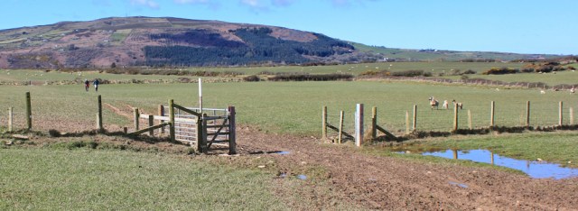 10 muddy fields, Ruth hiking the Lleyn Peninsula, Wales Coast Path