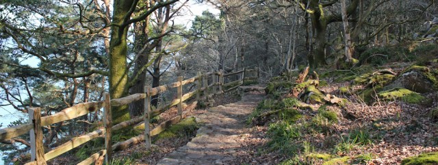 11 wooded walk Mynydd Tir-y-cwmwd, Llanbedrog, Ruth's coastal walk in Wales