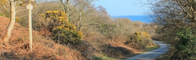 17 road down to Abersoch Beach, Ruth walking the Welsh coast