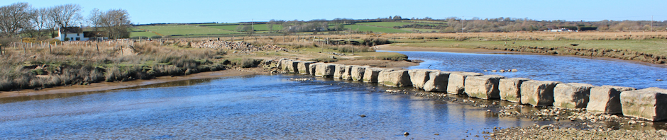 Header, giant stepping stones, Ruth Livingstone