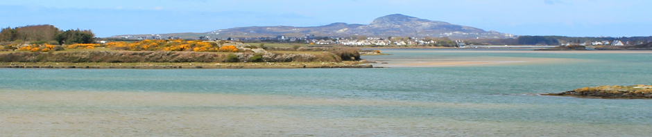 header, Holyhead Mountain, Ruth Livingstone