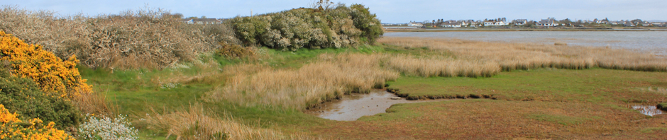 header Point-rhydbont, Ruth Livingstone