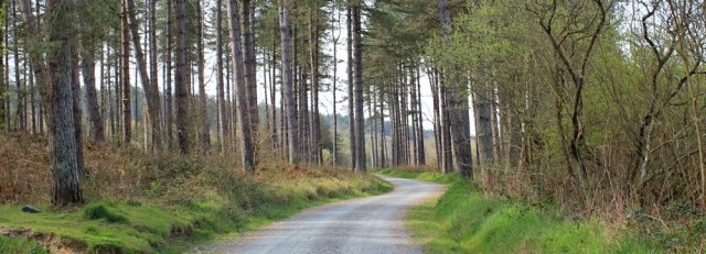 01 Ruth Livingstone hiking through Newborough Forest, Anglesey